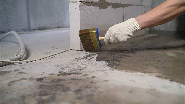 24/7 Emergency Wet Basement Repair experts in Charlotte, MI